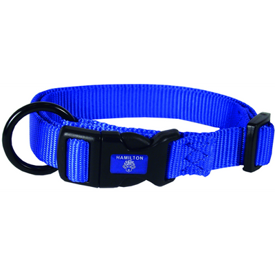 Collier pour chiens bleu 1.5 x 30 - 45 cm - MyStetho Veterinary