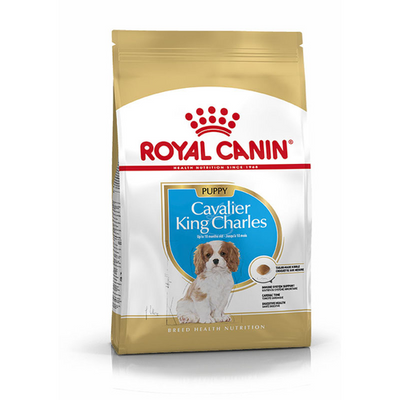 Royal Canin NEUTERED BALANCE Thin Slices in Gravy 85 g - MyStetho Veterinary