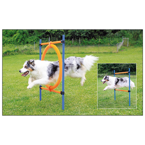 Swisspet anneau de saut d‘Agility - MyStetho Veterinary