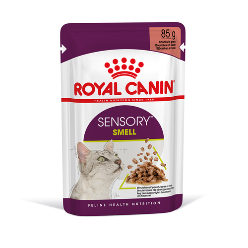 Royal Canin Sensory Smell In Soße 85 g - MyStetho Veterinary