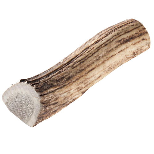 Chewies polonais bois de cerf rouge L - MyStetho Veterinary