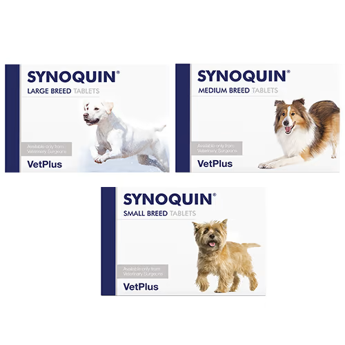 SYNOQUIN© Small (<10 kg) (30 comprimés) - MyStetho Veterinary