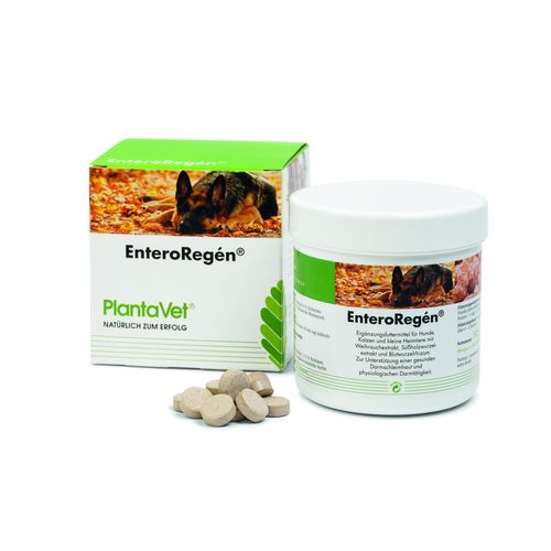EnteroRegén boîte à 240 compr. - MyStetho Veterinary