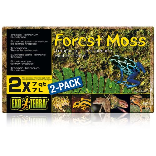 Exo Terra Forest Moss, 2er-Set, Natürliches Moos (2x7 L) - MyStetho Veterinary