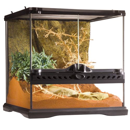 Exo Terra Glas Terrarium (34x34x33.5cm) - MyStetho Veterinary