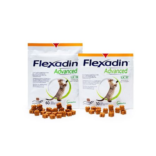 Flexadin Advanced Hund 60 Chews - MyStetho Veterinary