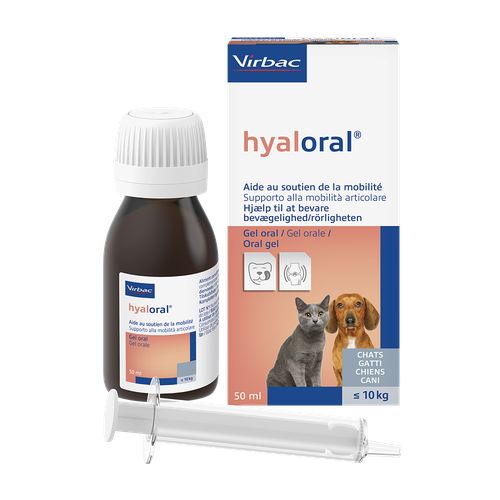 Hyaloral 50 ml gel pour les chats, les chiots et les petits chiens Virbac 