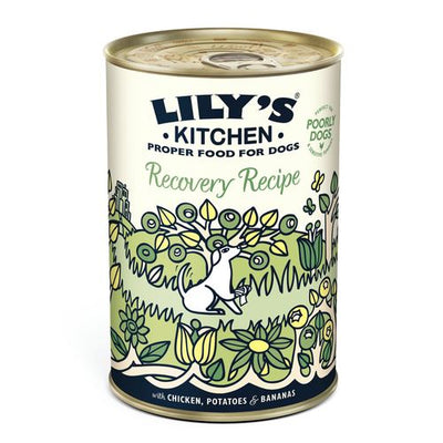 Lily's Kitchen Adult Recovery Recipe 400g Biokema 