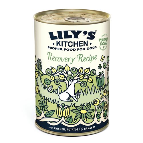 Lily's Kitchen Adult Recovery Recipe 400g - MyStetho Veterinary