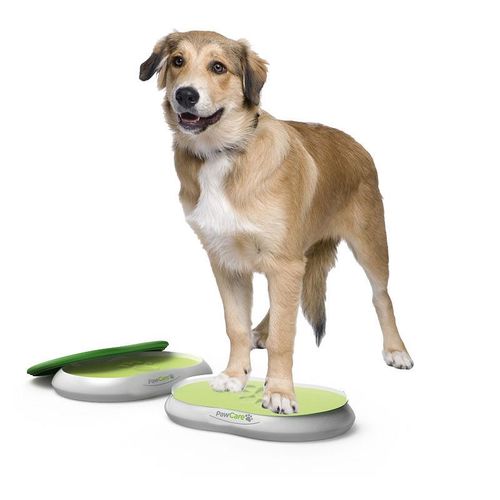 PawCare Large Bone 380gr. - MyStetho Veterinary