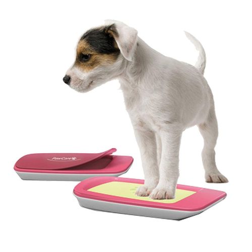 PawCare Small Container 185gr. - MyStetho Veterinary