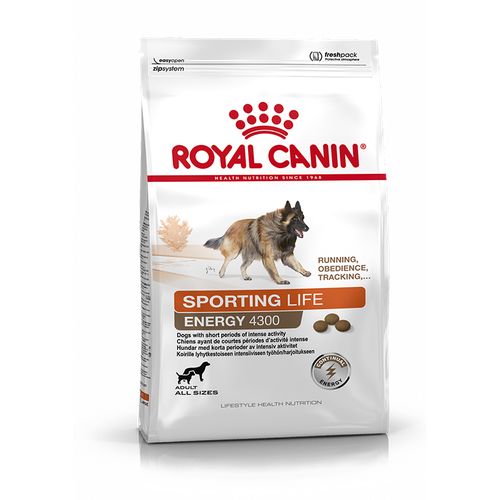 Royal Canin Energy 4300 15 kg - MyStetho Veterinary