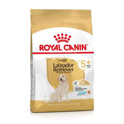 Royal Canin Labrador Retriever Adult 5+ 3 kg - MyStetho Veterinary
