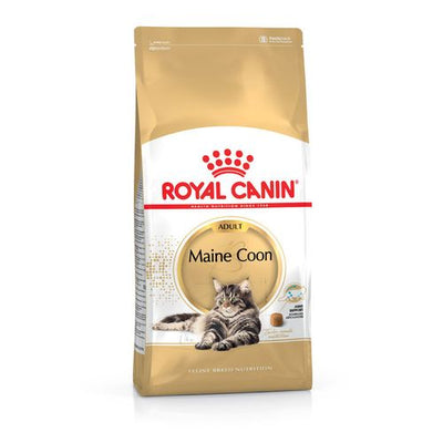 Royal Canin Maine Coon Adult 2 kg - MyStetho Veterinary
