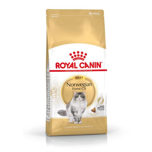 Royal Canin Norwegian Forest Cat Adult 2 kg - MyStetho Veterinary