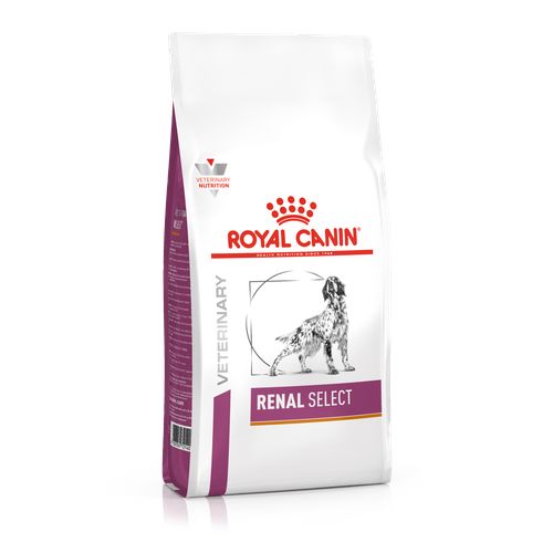 Royal Canin RENAL SELECT 2 kg - MyStetho Veterinary