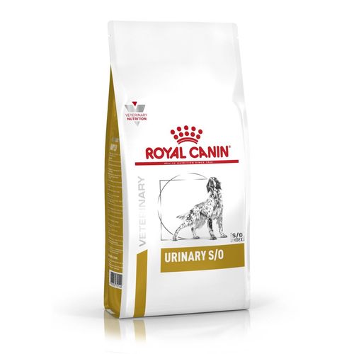 Royal Canin URINARY S/O 13 kg - MyStetho Veterinary