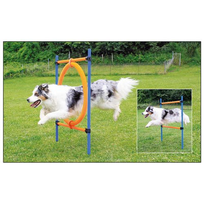 Swisspet anneau de saut d‘Agility - MyStetho Veterinary