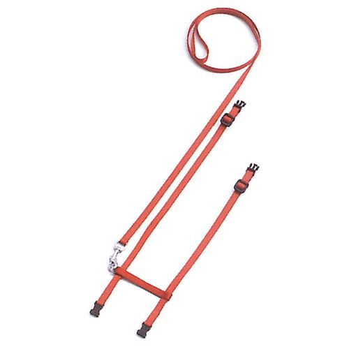 Swisspet harnais Cat Sport, rouge - MyStetho Veterinary