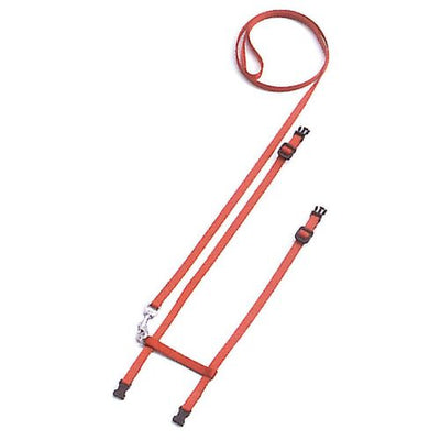 Swisspet harnais Cat Sport, rouge - MyStetho Veterinary