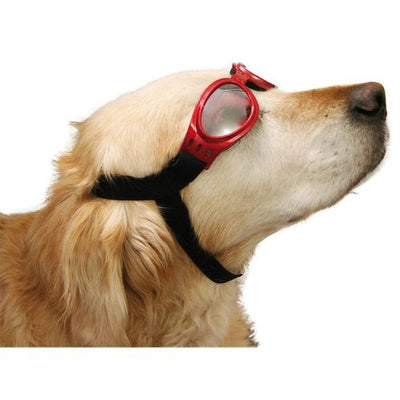 Swisspet Lunettes de soleil Cabrio, rouge, L=16cm - MyStetho Veterinary