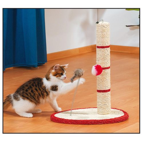 Swisspet Play-Station - MyStetho Veterinary