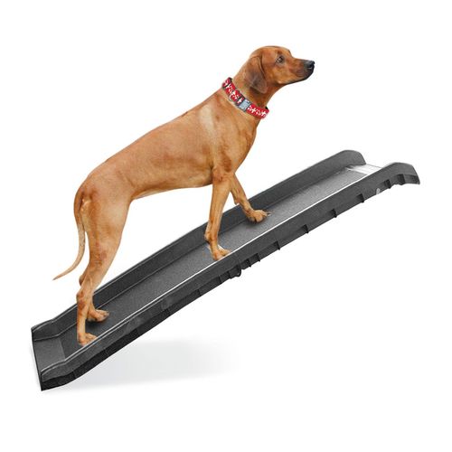 Swisspet rampe d’auto pour chiens Go In - MyStetho Veterinary