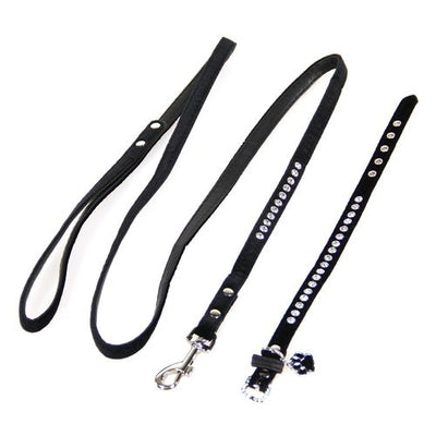 Trendline Set Azure: collier & laisse pour chiens & chats - MyStetho Veterinary